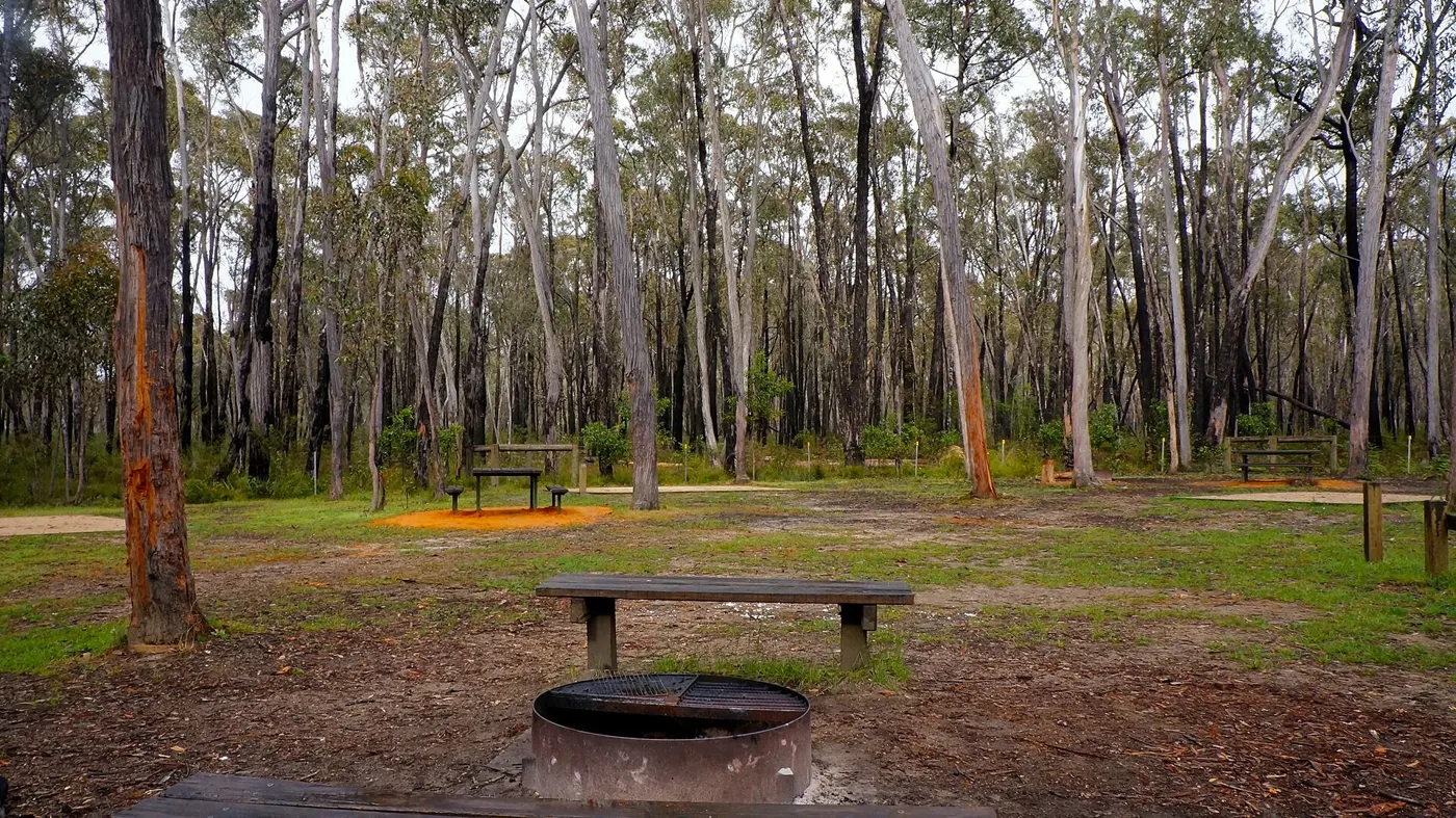A shady bush campsite with a fire pit among tall eucalypts in the Grampians, Victoria