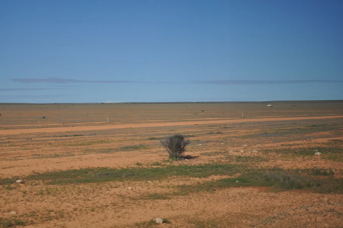 A flat red-earth plain stretching to the horizon on the Nullarbor