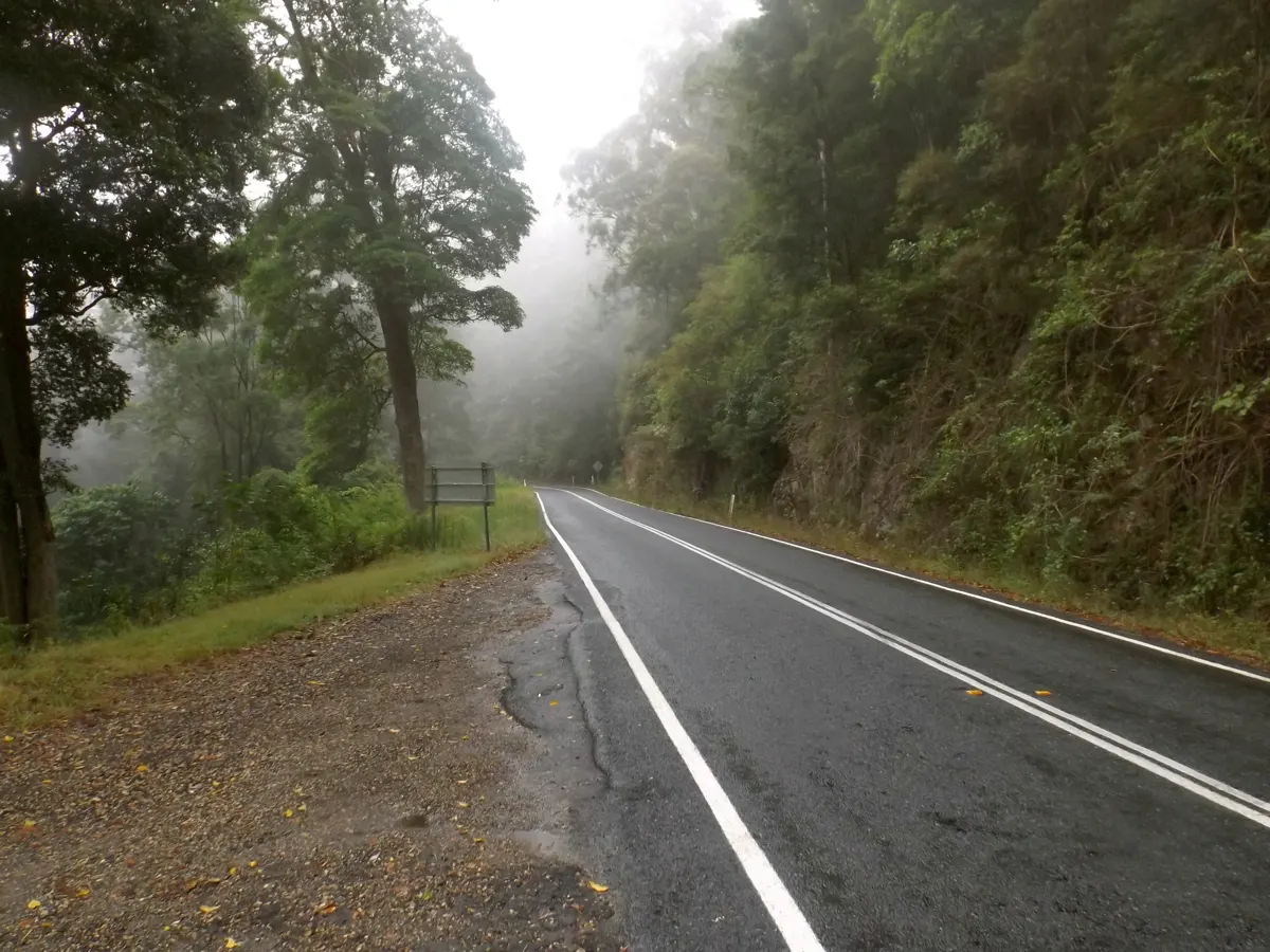 A winding sealed road through forest at Springbrook, Queensland